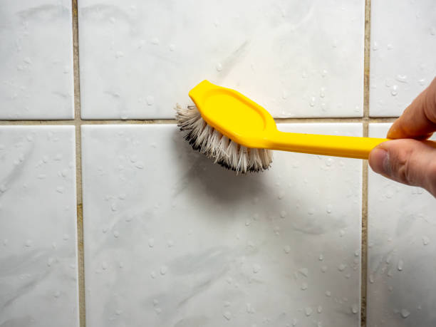 Best Office Mold Removal Services  in South Temple, PA