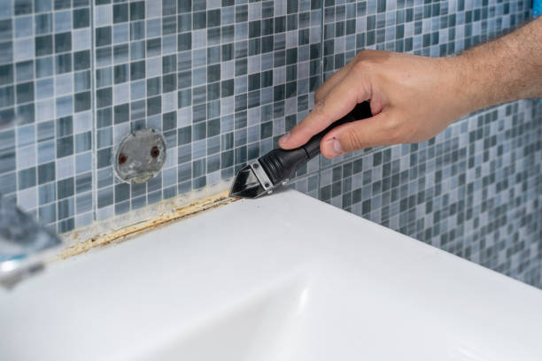 Best Mold Remediation Services  in South Temple, PA