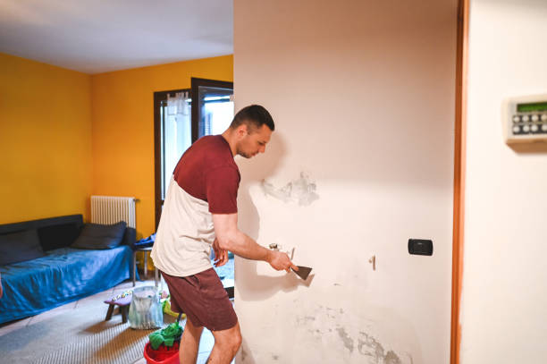 Best Mold Testing and Removal  in South Temple, PA